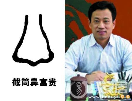 截筒鼻 面相|截筒鼻面相图解